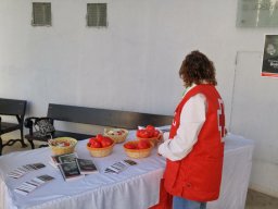 ACTIVIDAD PLAN SALUD  06-04-2017